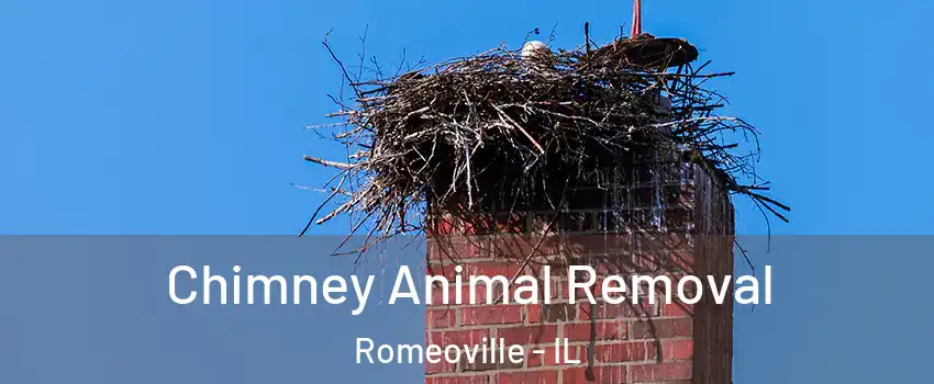 Chimney Animal Removal Romeoville - IL