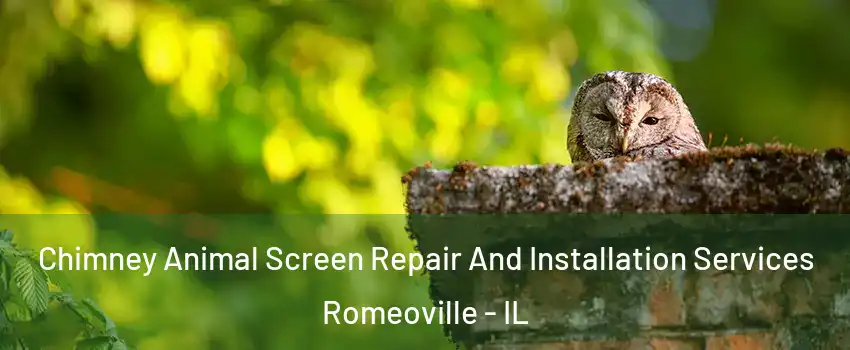  Chimney Animal Screen Repair And Installation Services Romeoville - IL