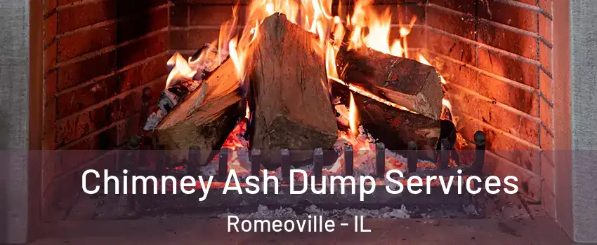  Chimney Ash Dump Services Romeoville - IL