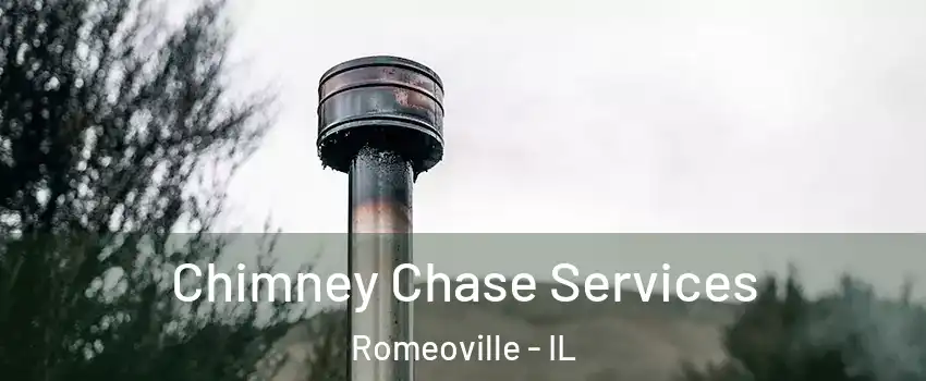  Chimney Chase Services Romeoville - IL