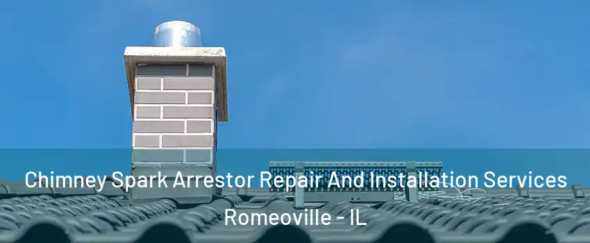  Chimney Spark Arrestor Repair And Installation Services Romeoville - IL