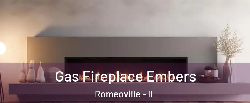 Gas Fireplace Embers Romeoville - IL