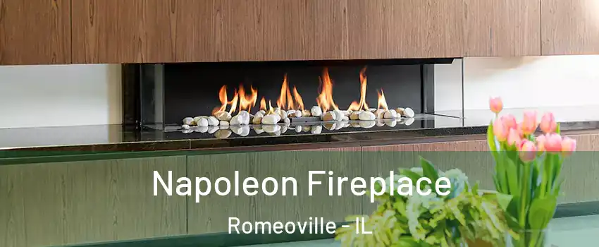  Napoleon Fireplace Romeoville - IL